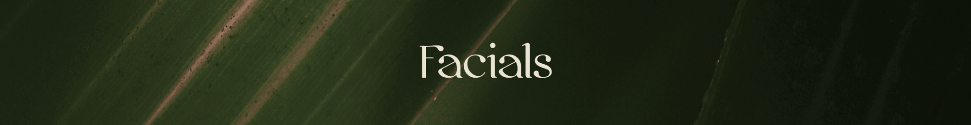 Facials - Section 2
