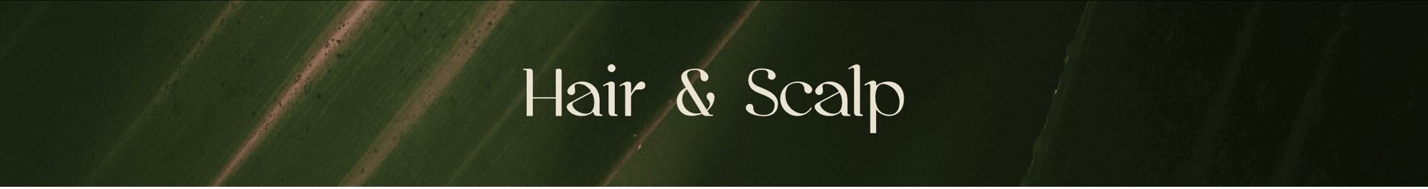 Hair & Sculp