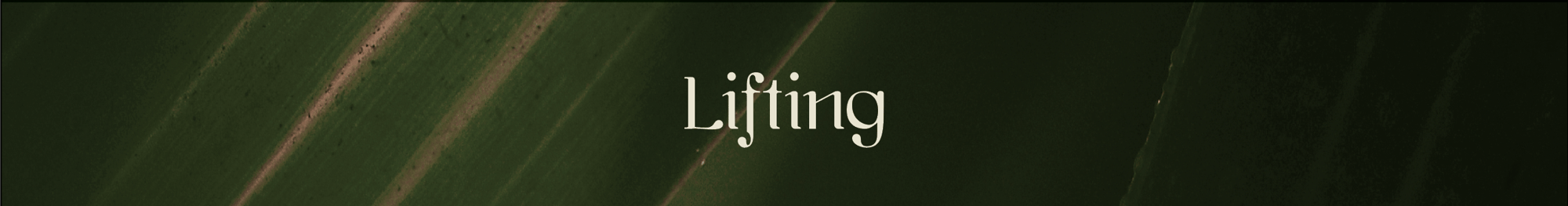 Lifting