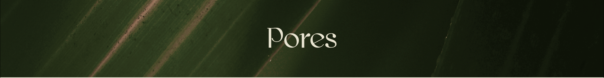 Pores