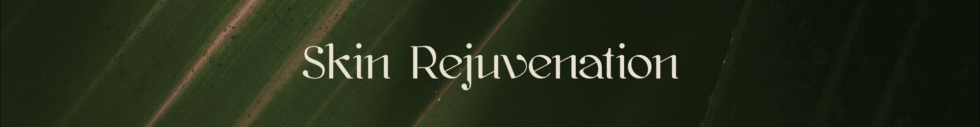 Skin Rejuvenation