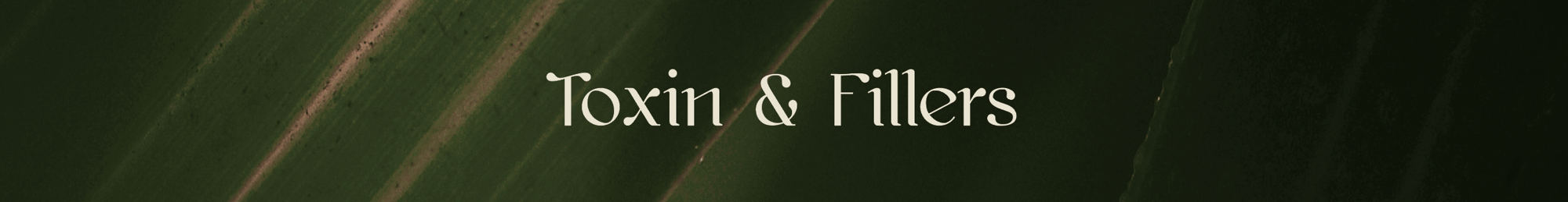 Toxin and Fillers